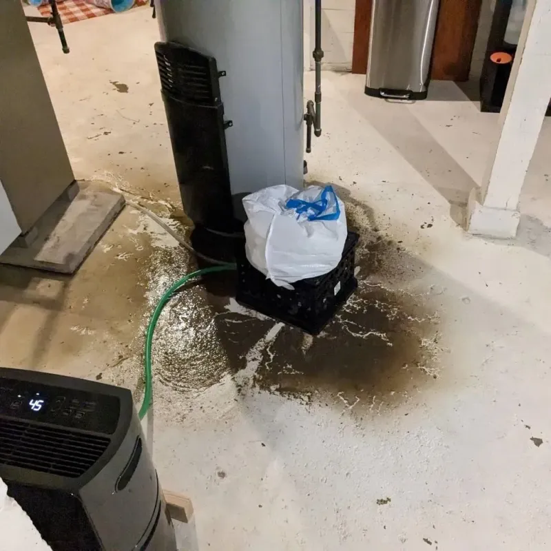 Sewage Backup Cleanup Service in Highland, UT